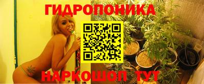 дживик Волжск