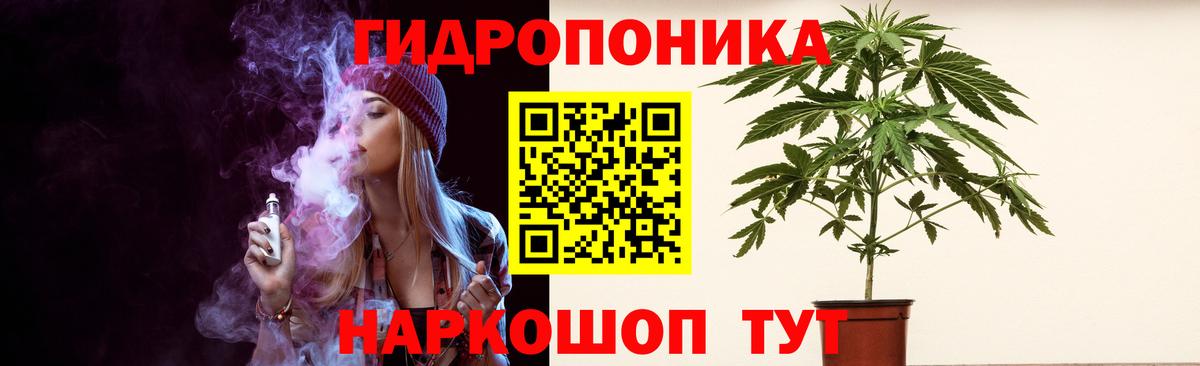 Галлюциногенные грибы Димитровград